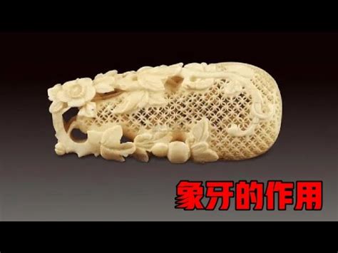 猛獁功效|【猛獁功效】不可思議！猛獁象牙居然有這麼多功效，快收藏！